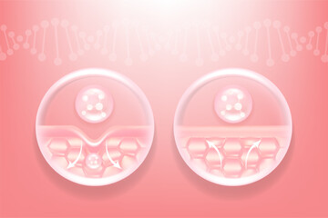 Hyaluronic acid and Niacinamide before and after hair and skin solutions ad, pink collagen serum drops into skin cell with cosmetic advertising background ready to use, illustration vector.