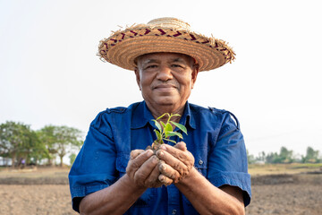 An elderly farmer holds a small green seedling in his hand. Agriculture and ecology concept.