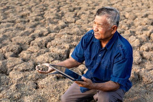 Elderly Asian male agronomist inspects the quality of dry soil in agricultural areas. Farmer old man with a digital tablet in her hands. Agriculture, global warming
