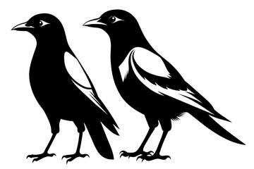 pair Magpie silhouette on white background