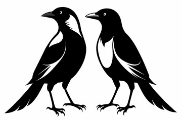 pair Magpie silhouette on white background