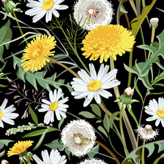 Seamless pattern with flowers - Taraxacum, Chamomilla and grass isolated on the black background. Hand-drawn illustrations of wildflowers.