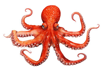 PNG Octopus animal invertebrate cephalopod. AI generated Image by rawpixel. - obrazy, fototapety, plakaty