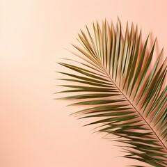 Palm leaf on a beige background with copy space for text or design. A flat lay, top view. A summer vacation concept