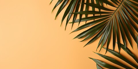 Palm leaf on a brown background with copy space for text or design. A flat lay, top view. A summer vacation concept