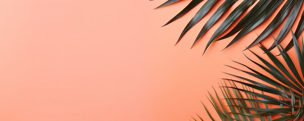 Fototapeta na wymiar Palm leaf on a coral background with copy space for text or design. A flat lay, top view. A summer vacation concept