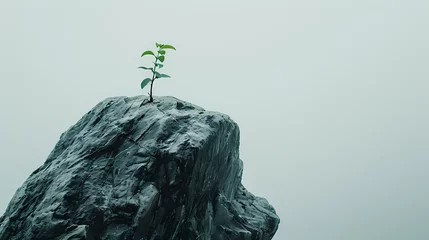 Deurstickers Small Tree Growing From Top of Rock © Artistic Visions