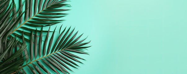 Fototapeta na wymiar Palm leaf on a mint green background with copy space for text or design. A flat lay, top view. A summer vacation concept