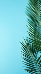 Palm leaf on a cyan background with copy space for text or design. A flat lay, top view. A summer vacation concept