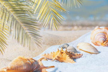 Close-up view of a sandy beach with seashells and towel under the hot tropical sun, selective focus. Beach holiday concept, background with copy space for text