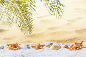 Close-up view of a sandy beach with seashells and towel under the hot tropical sun, selective focus. Beach holiday concept, background with copy space for text