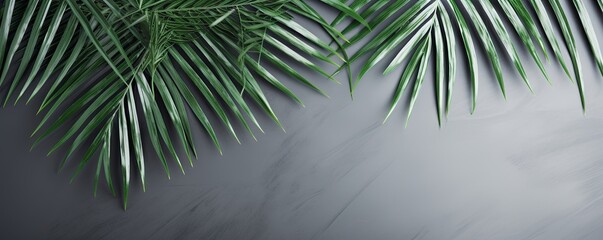 Palm leaf on a gray background with copy space for text or design. A flat lay, top view. A summer vacation concept