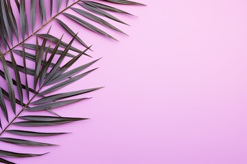 Palm leaf on a lavender background with copy space for text or design. A flat lay, top view. A summer vacation concept 