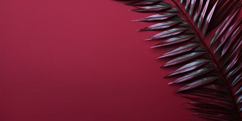 Fototapeta na wymiar Palm leaf on a maroon background with copy space for text or design. A flat lay, top view. A summer vacation concept