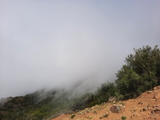 Mesmerizing natural beauty of Abha in Saudi Arabia in the summer season. High mountains, greenery, low clouds and fog are the beauty of Abha.