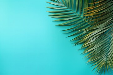 Fototapeta na wymiar Palm leaf on a turquoise background with copy space for text or design. A flat lay, top view. A summer vacation concept