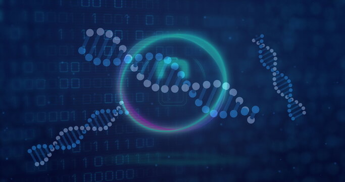 Image of dna strands with data processing over binary coding