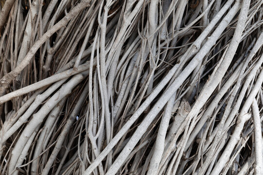 Nature background of twisted and bundled sticks in white gray and black, creative copy space for nature theme, horizontal aspect