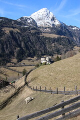 landscape in the alpine mountains