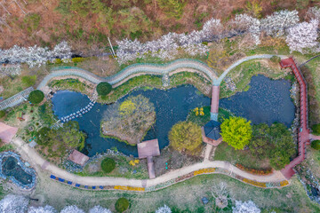 aerial drone view. Spring scenery of the park.