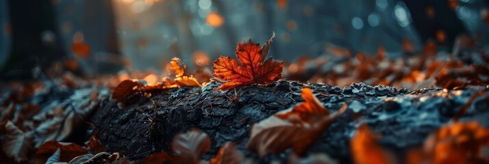 Autumn leaf lit by a warm backdrop - A vivid red autumn leaf stands out against a warm, moody forest background, symbolizing change and the passage of time - obrazy, fototapety, plakaty