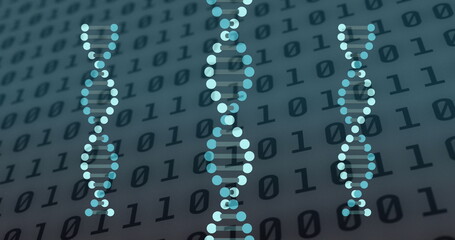 Image of dna strands spinning over binary coding data processing