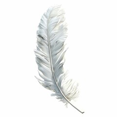  2D video game asset, Feather. Single object, white background
