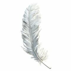 Fototapeta premium 2D video game asset, Feather. Single object, white background