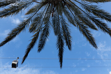 funicular cabin in a blue sky against the background of palm tree branches. selective focus . High...