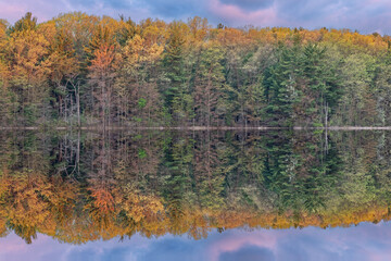 Spring landscape of Hall Lake at dawn with mirrored reflections in calm water, Yankee Springs State Park, Michigan, USA