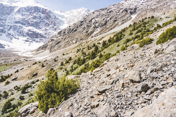 Fototapeta na wymiar Panoramic landscape in the mountains with rocks and scree, with grass glades, snow and glaciers on a sunny summer day in the Fann Mountains in Tajikistan with mountain ranges