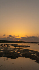 Golden Sunset Reflections on Shore