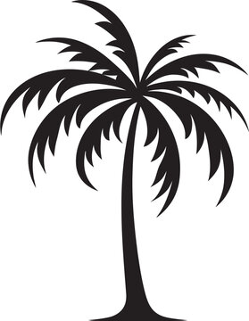 The Resilience of Palm Trees Survivors of Harsh Environments