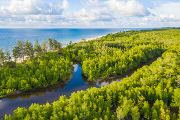 aerial view of mangrove forest at Sabah Borneo, Malaysia.