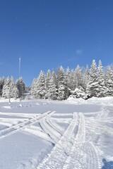 Tire tracks on the road, Sainte-Apolline, Québec, Canada