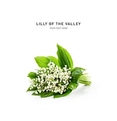 Fototapete Lilly of the valley flowers isolated on white background. © ifiStudio