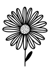 Daisy SVG | Daisies svg | Daisy clipart | Daisy png | Flower SVG | Wild flower svg | Wild flowers SVG | SVG PNG JPG