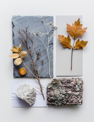 Autumn Leaves, Dried Flowers, and Stones Arranged on a White Background with Copy Space for Text