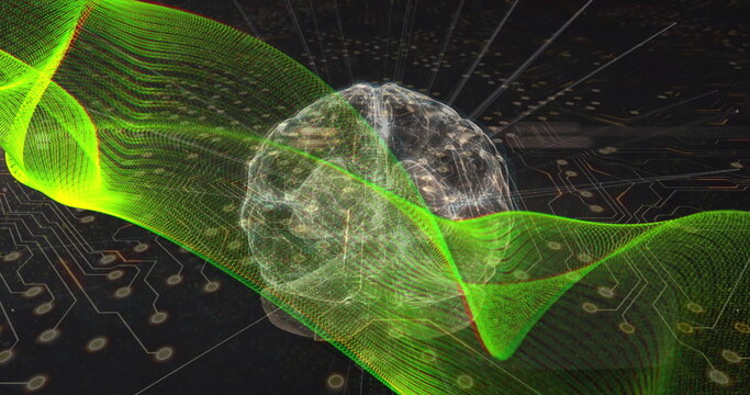 Image of green digital wave over spinning human brain against microprocessor connections