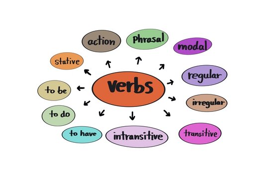 Hand drawn picture of mind mapping type of verbs in colorful circles bubbles. Illustration for education. Concept, English grammar teaching. Different types of verbs lesson. Teaching aid. 