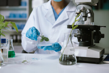 Scientist works with a pipette and a test tube. Scientific laboratory of biotechnology, development...