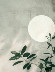 Green plant growing on a wall with white circle in the center, natural background with foliage and geometric shape