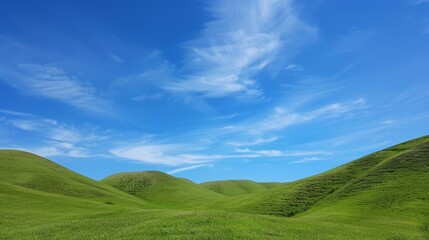 A vast, open field with a clear blue sky