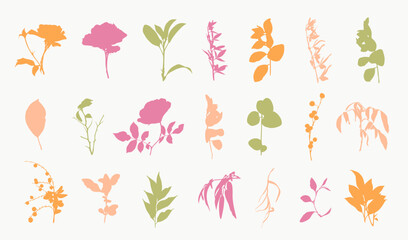 Botanical Floral Silhouettes Set Hand Drawn Plants