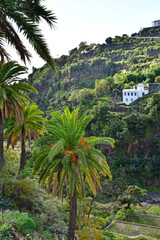 La Palma, Canary Islands - march 15 2024 : the picturesque island