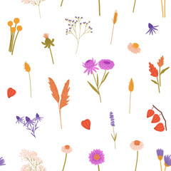 Repeatable pattern of meadow flowers. Floral endless background with dry wildflowers. Wild blossom plants: physalis, tansies, gypsophila, wheat spikelet. Botanical flat seamless vector illustration