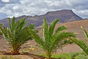 Fuerteventura, Canary Islands - march 15 2024 : the picturesque island