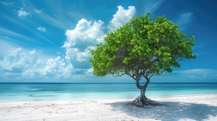 Green mangrove tree on a white sand beach. - Powered by Adobe