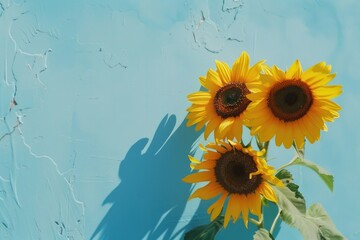 Flower Wall Paper. Pair of Sunflowers in Aesthetic Abstract Blue Background