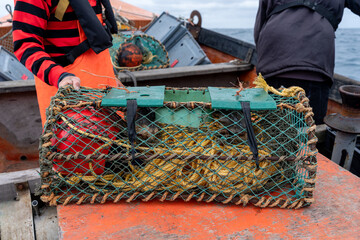 Net container to fish lobsters on a boat